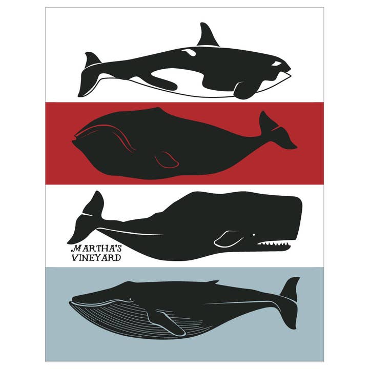 2,5 ”x 3,5 ”Marthas vingård valar magnet för wholesale av Fridgedoor