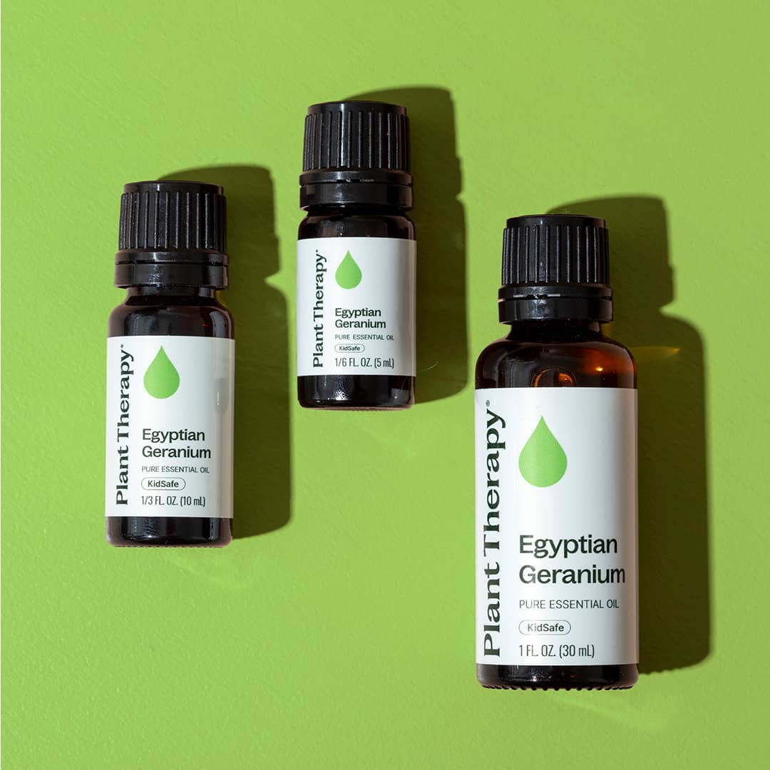 Plant Therapy - Wholesale Essential Oil - Egyptian Geranium Essential Oil 30mL3