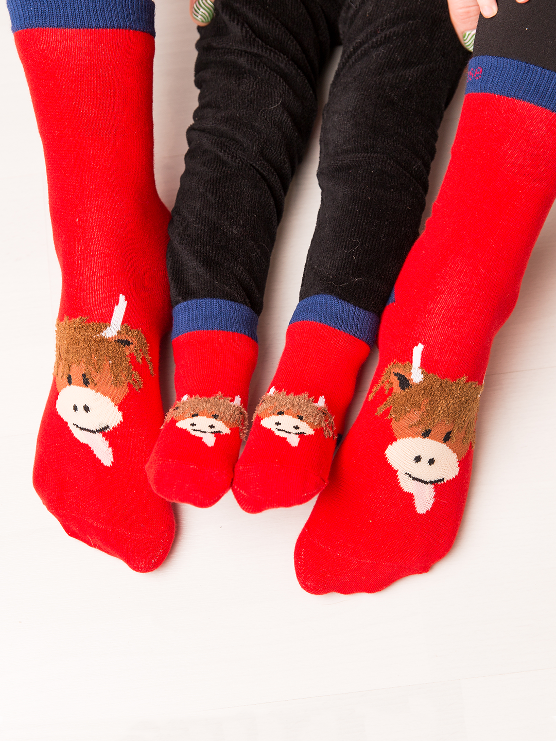 Blade and Rose Limited - Wholesale Socks - Unisex - Hamish Highland Cow Adult Socks1