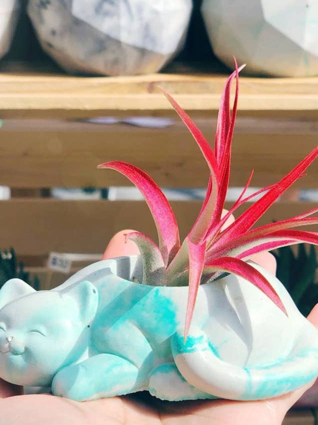 Happy Cat Planter for wholesale by Homebody Collective