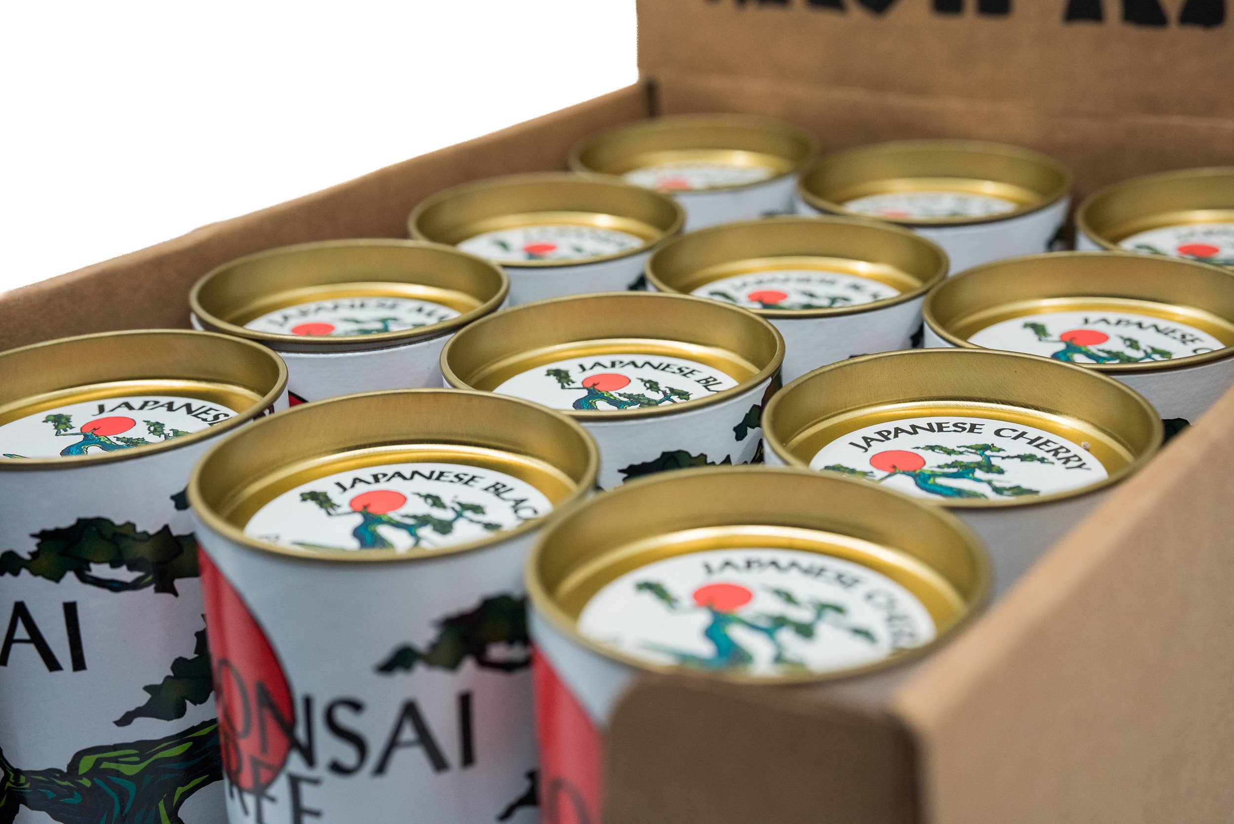 The Jonsteen Company - Wholesale Retailer Display - Home & Living - Bonsai Case Pack | 12 Grow Kits w/ Display3