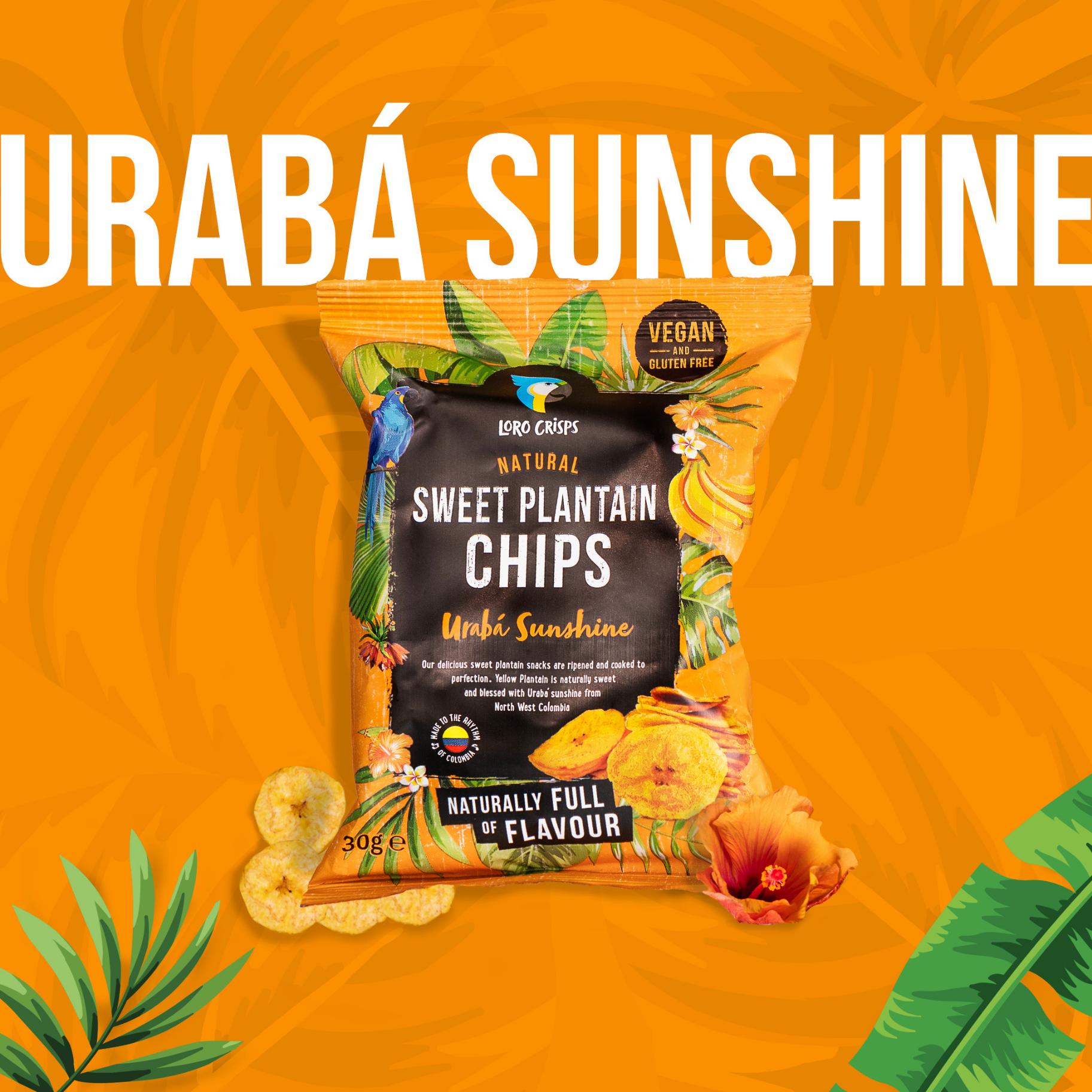 Loro Crisps – wholesale Crisps – Loro Crisps Plantain Chips - Mixed Box (20 x 30g)4