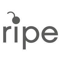 Ripe Maternity wholesale products