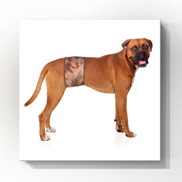 Jack & Jill Dog Diapers - Wholesale Hondenbandana - Hond - Mannelijke Hondenbuikband - Stijl #1 Bruine Tie-Dye