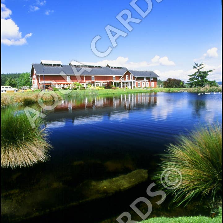 1030 - Stagno In Fattoria per la vendita all'ingrosso da parte di Aqua Cards