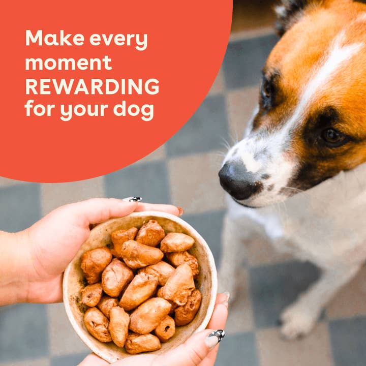 Pupford - Wholesale Pet Treats - Dog - Freeze Dried Chicken Hearts 4.25oz1