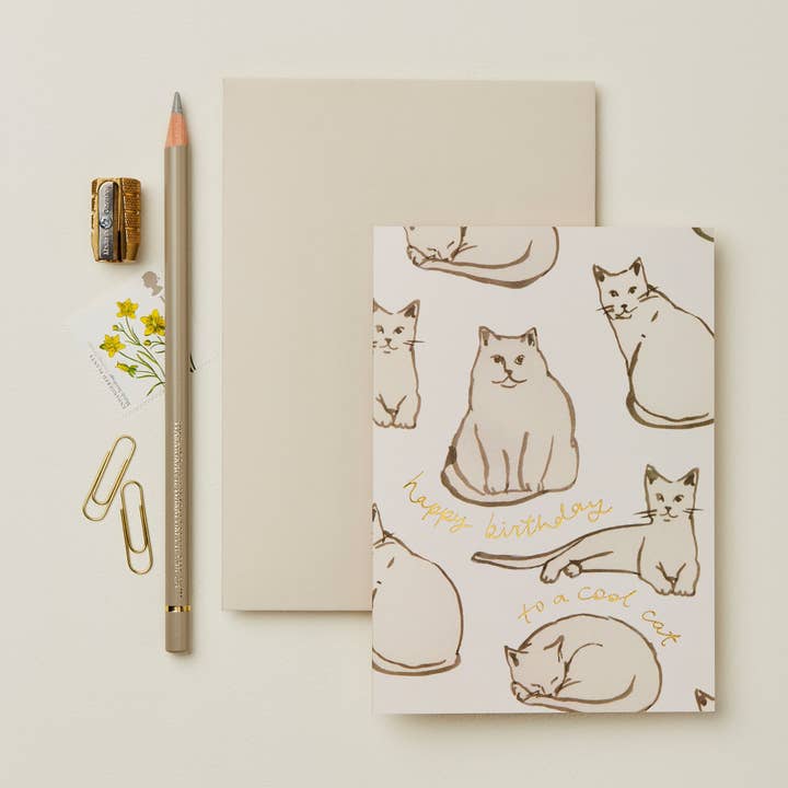 Wanderlust Paper Co - Wholesale Birthday Card - Cats 'Happy Birthday to a Cool Cat' Card0