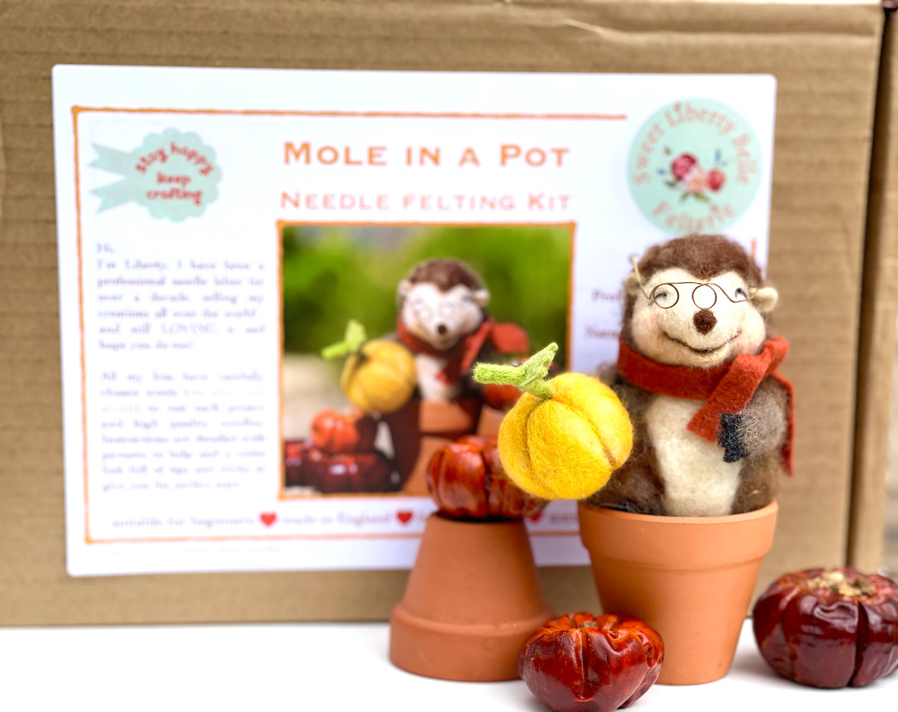 Sweet Liberty Belle - Wholesale Craft Sewing Kit - Jolly Mole in a Pot - superior needle felting craft kit1