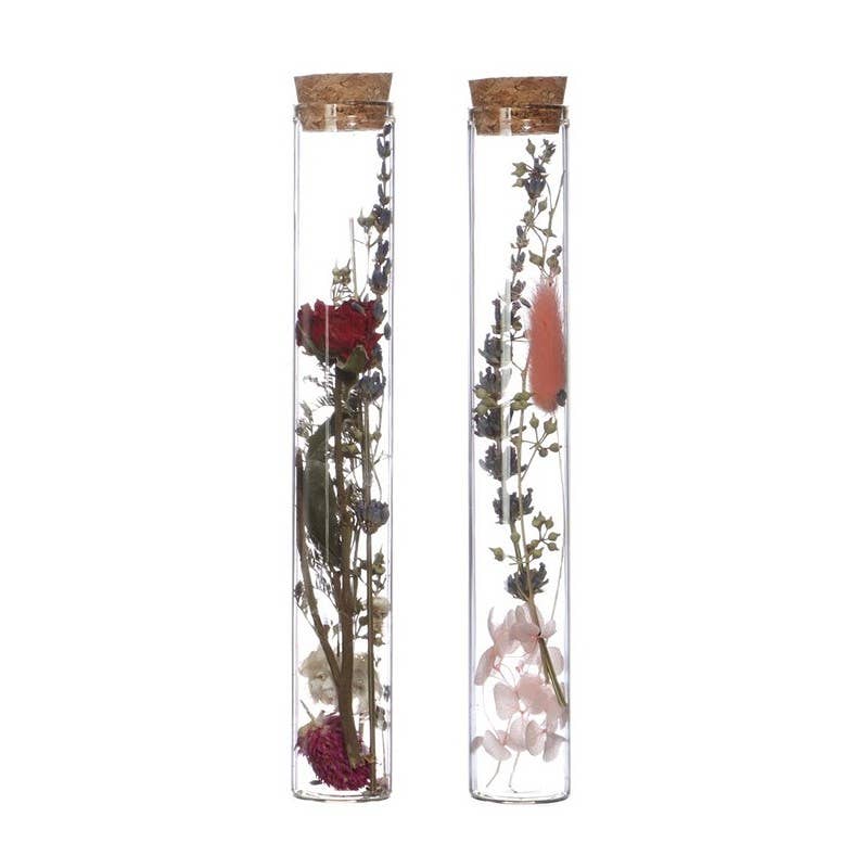 Dutch Flower Studio – Flores secas/prensadas por atacado – Tubos decorativos com flores secas para interiores3