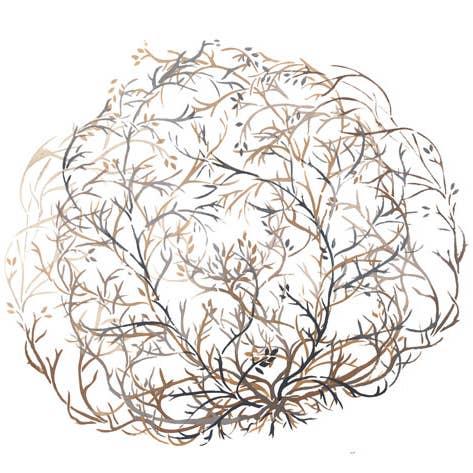 Tumbleweed - Stencil da parete per la vendita all'ingrosso da parte di Designer Stencils