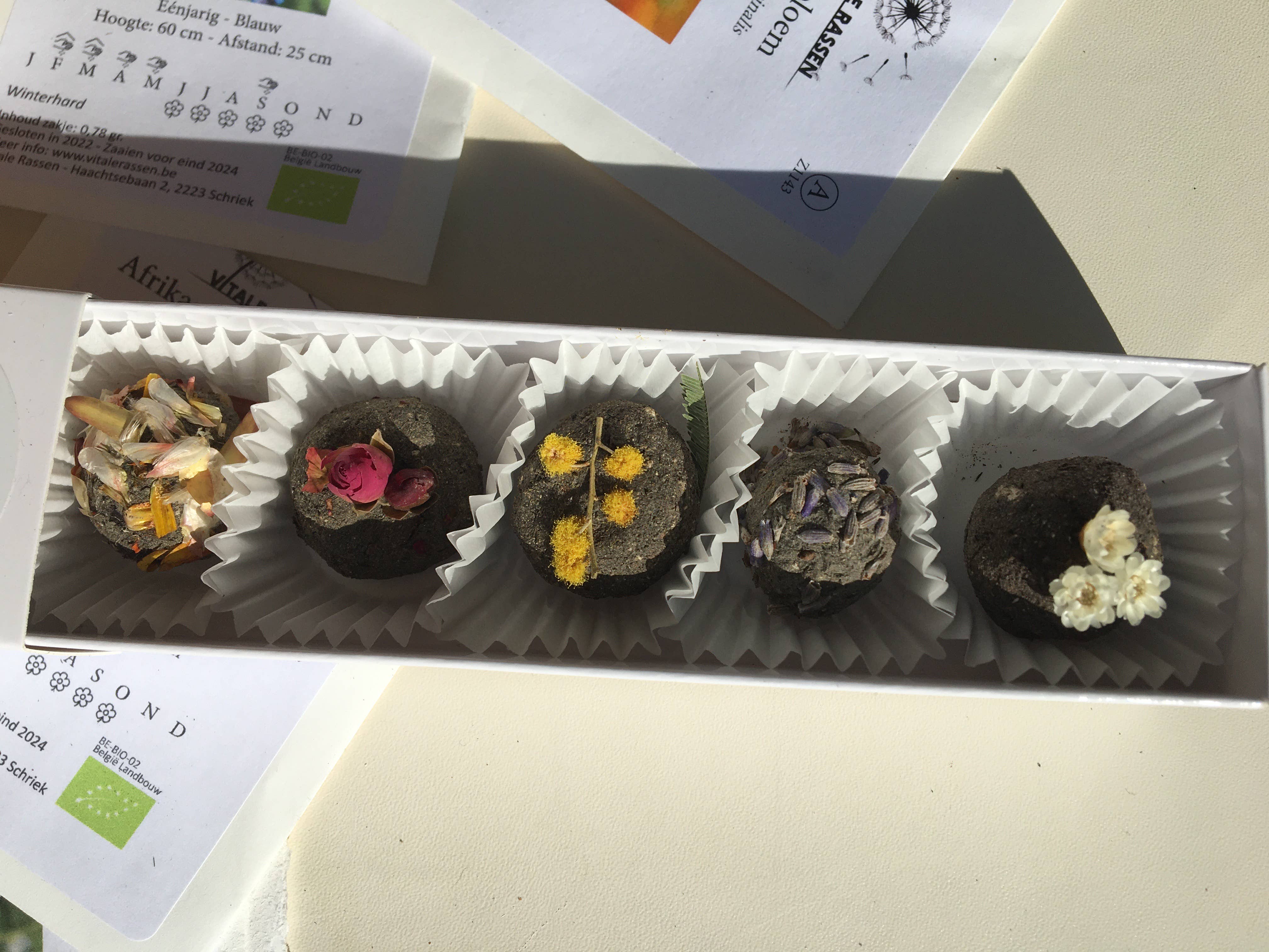 BUSKRUID - Wholesale Plant Seeds - Zaadbombons3