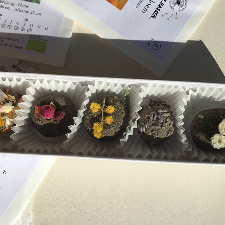 BUSKRUID - Wholesale Plant Seeds - Zaadbombons3