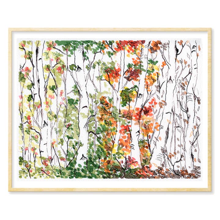 Birch Forest, Four Seasons Art Print voor wholesale door Tamara Garvey Illustration