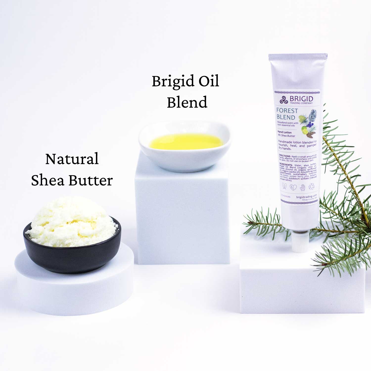 Brigid Trading Company - Wholesale Hand Cream/Lotion - Forest Blend Natural Hand Lotion - Juniper, Pine, Balsam, Cedar, and Lime5