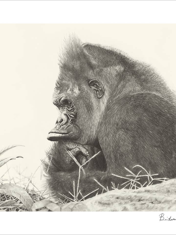 Fine Art Print - Gorilla "What Are You Thinking About?" for wholesale by Bidemio Studio