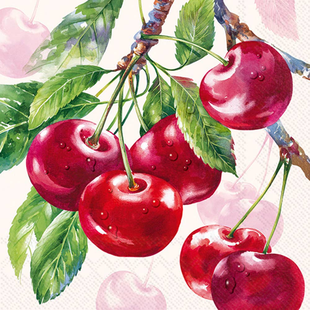 Boston International - Wholesale Disposable Placemat - Paper Lunch Napkins 20ct Cherry Fruits Cream0