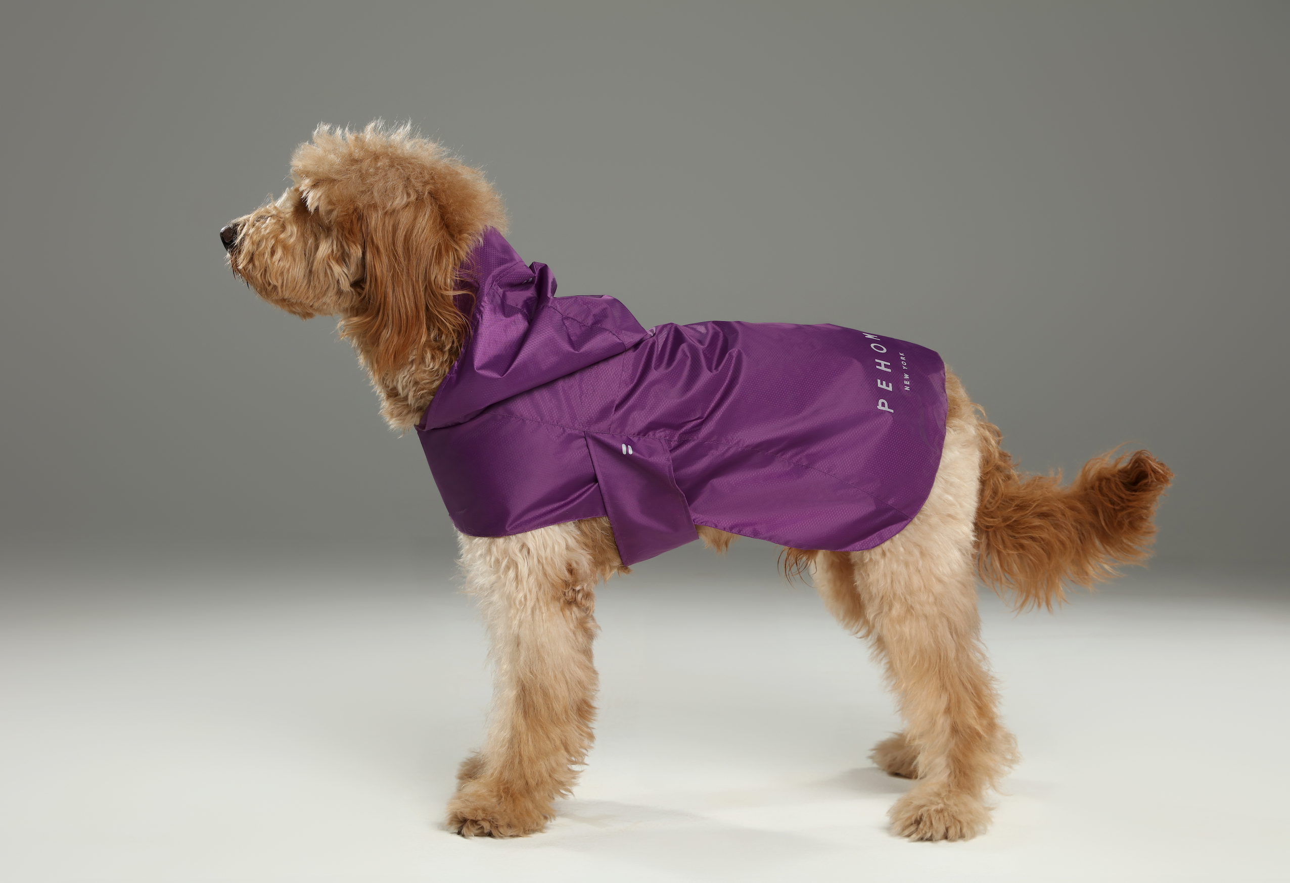 PEHOM - Venta al por mayor Chubasquero - Perros - Impermeable tipo cápsula - Morado7