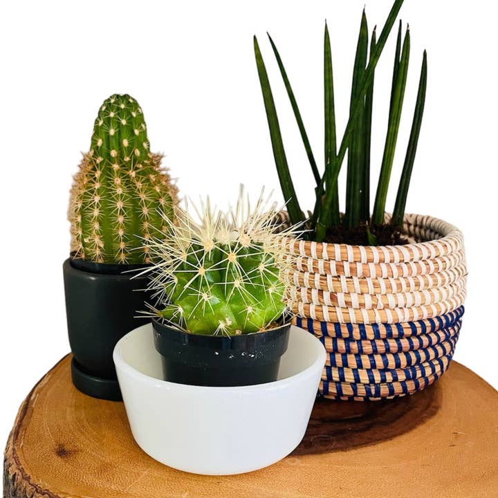 Beautifully Made Fair Trade - Wholesale Basket - Senegal | Natural Basket | 2 sizes3