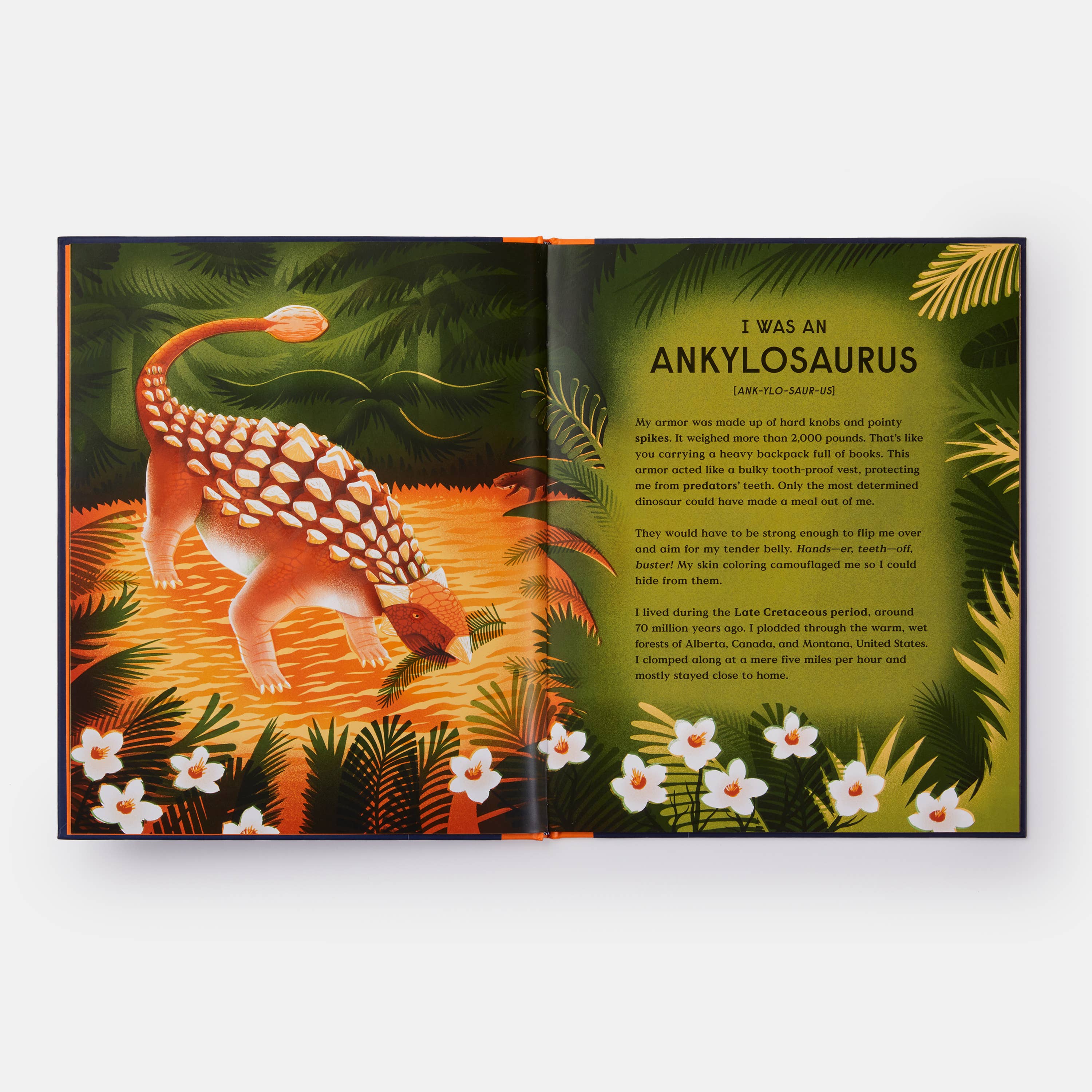 Phaidon - Wholesale Middle Grade Book (9-12) - Book of Dinosaurs: 10 Record-Breaking Prehistoric Animals4
