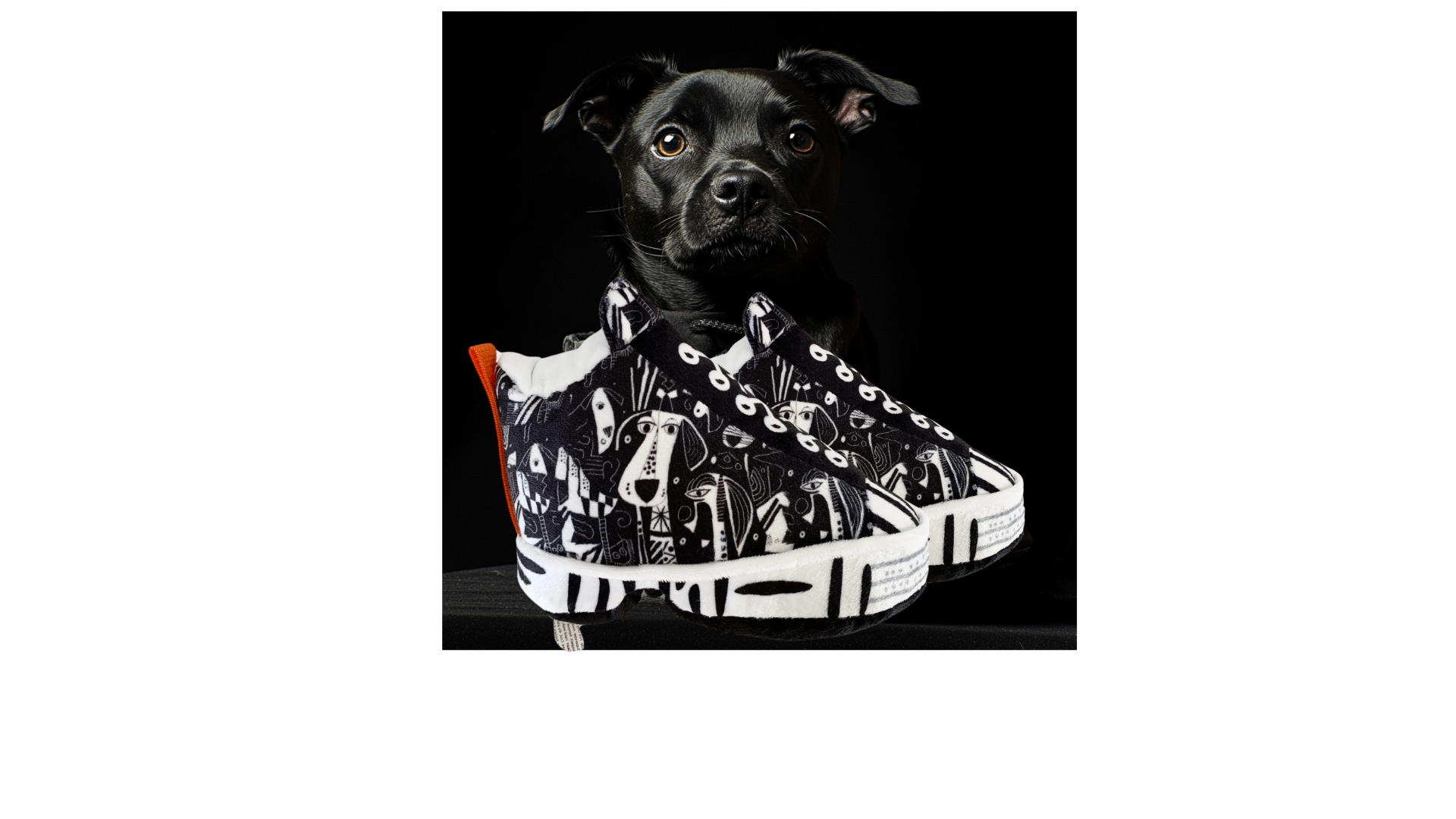 Pawcasso – Peluche - Cão por atacado – Pacote de Sapatilhas Pawcasso15