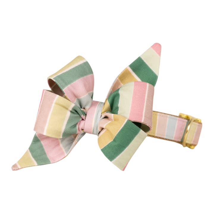 Sandy Stripes Belle Bow Dog Collar for wholesale by Crew LaLa