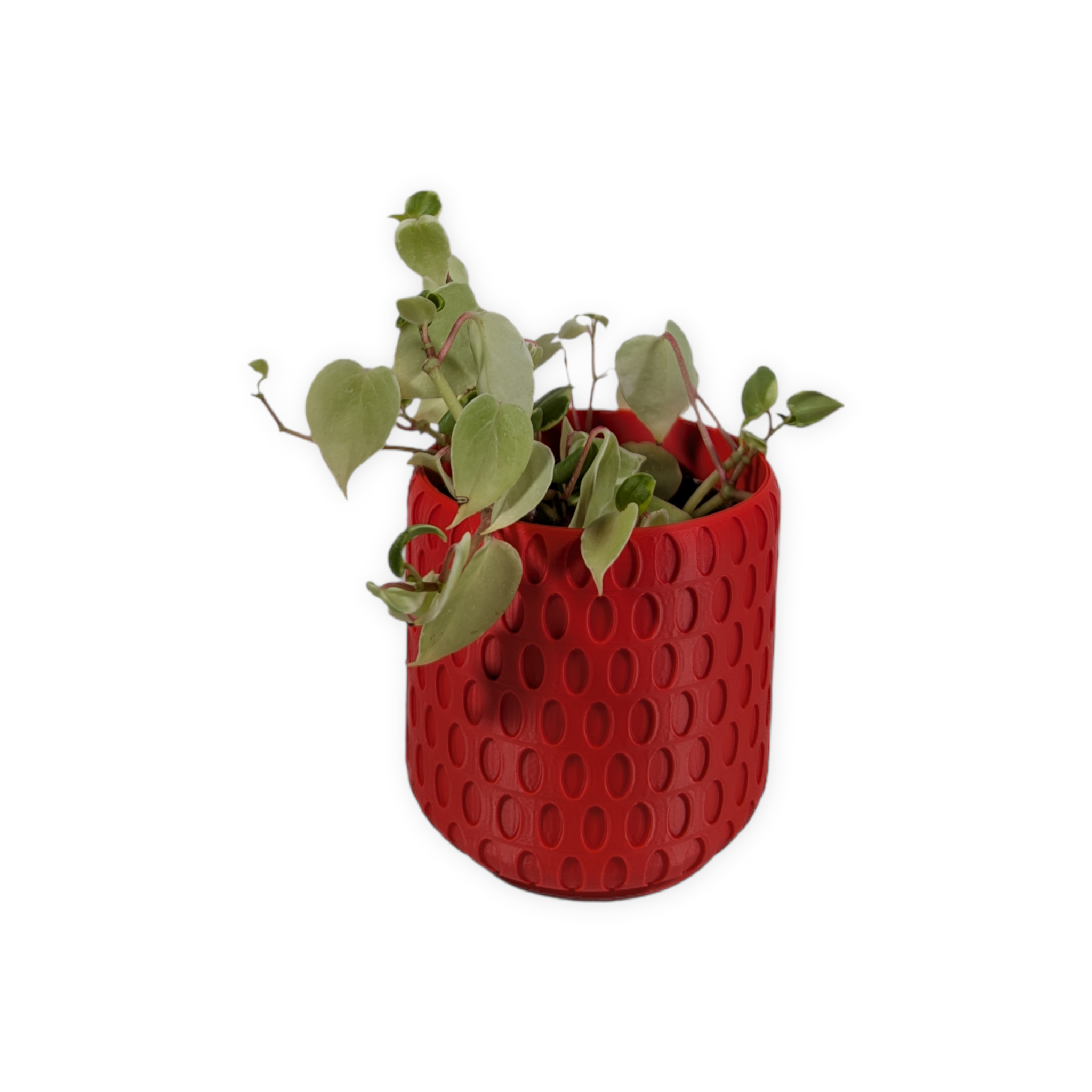 Leafprints.3d - Wholesale Plant Pot - The Bud - 4 Inch Planter with Drip Tray2