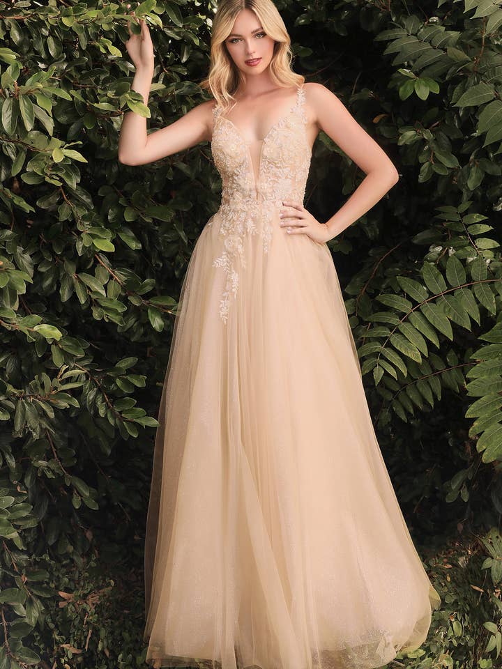 FLORAL APPLIQUED TULLE A-LINE GOWN for wholesale by Ladivine by Cinderella Divine