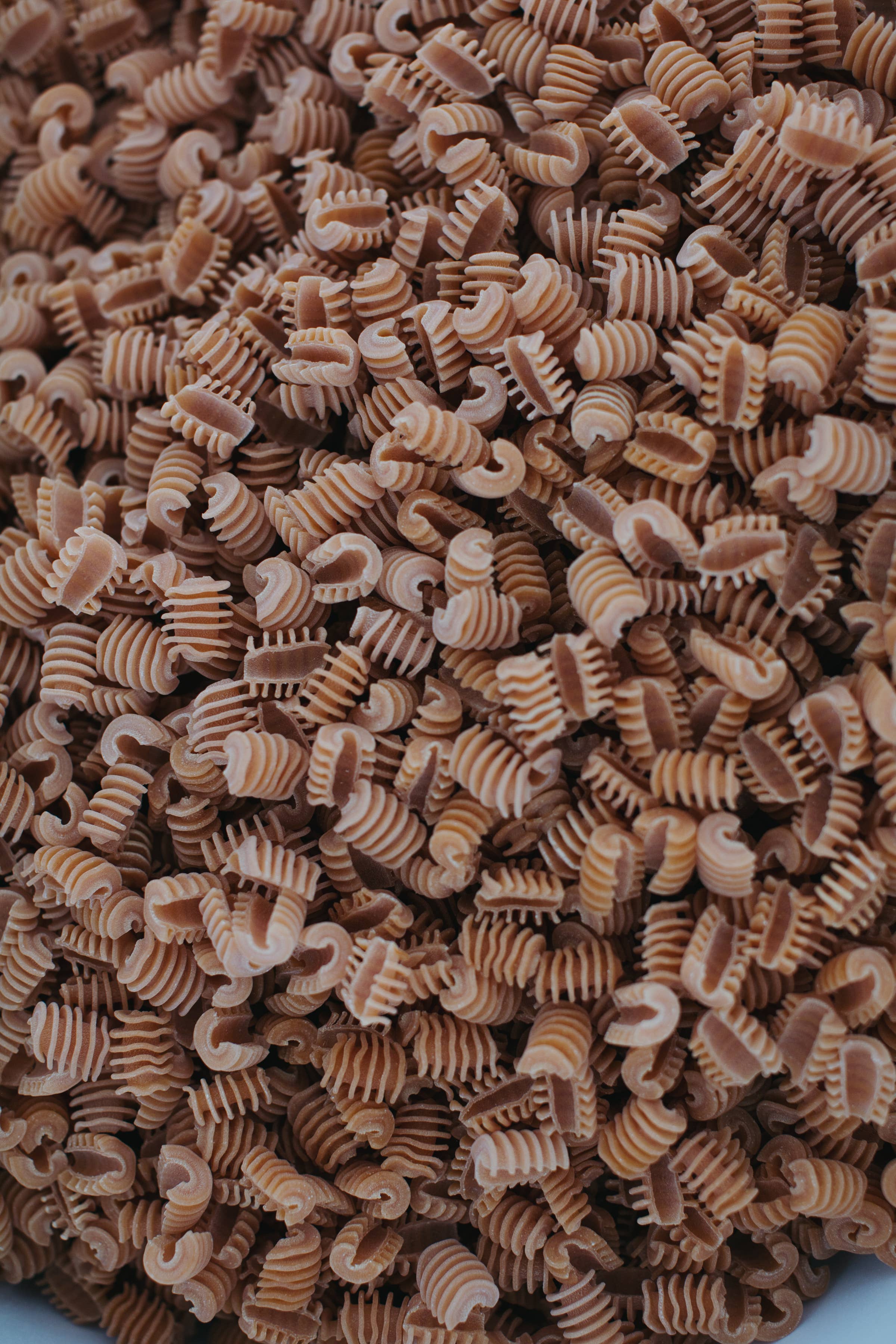 Vera Pasta - Wholesale Pasta - Tomato Basil Radiatori1