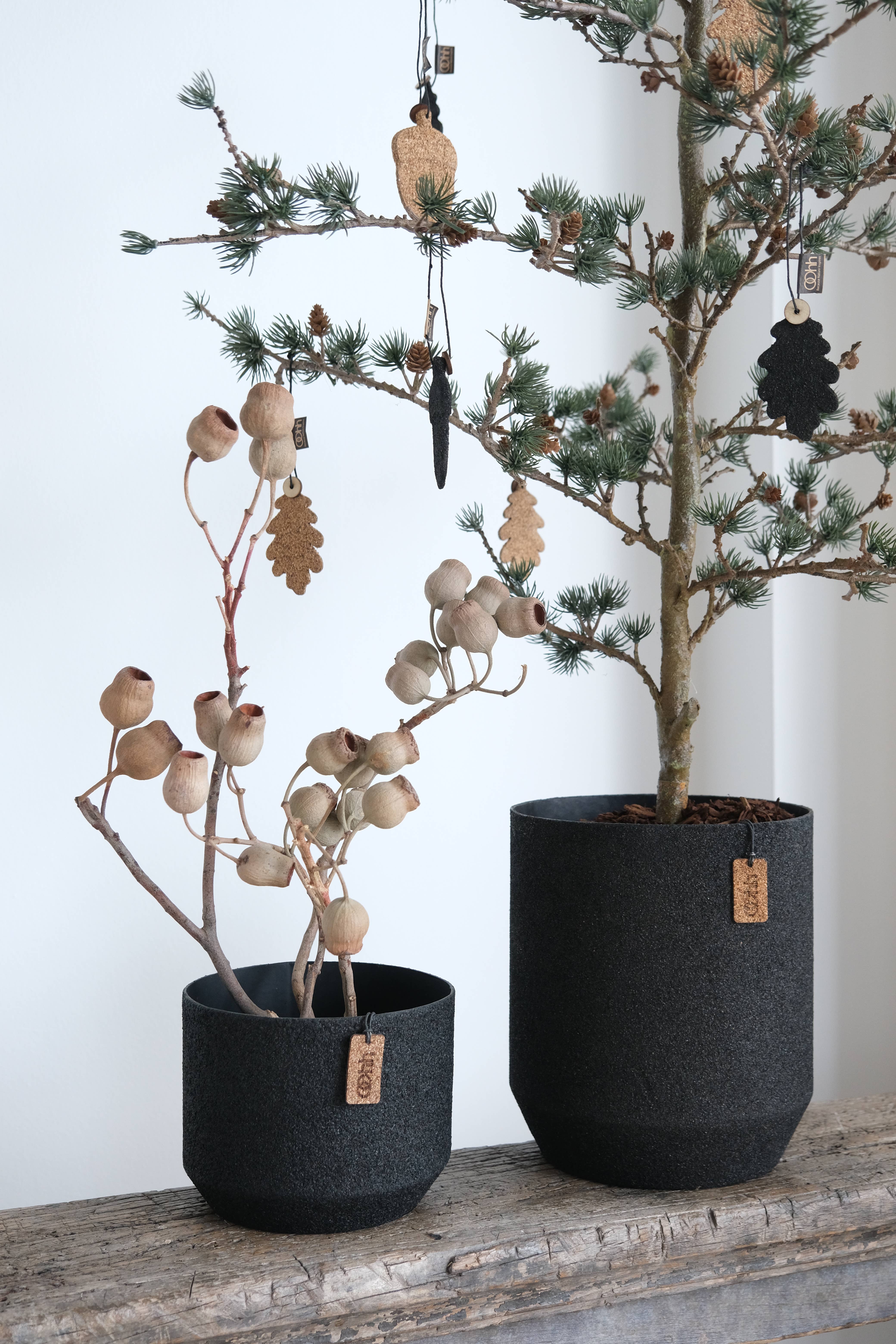 Lübech Living - Vendita all'ingrosso Vasi per piante - WOODz Alba Alto, Frassino1