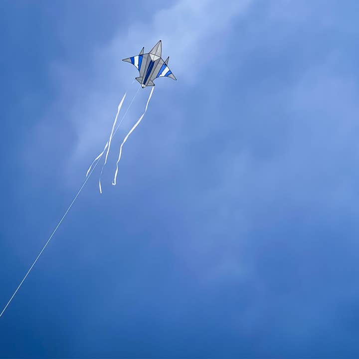In the Breeze, LLC. - Vente Cerf-volant - Fighter Jet Kite2