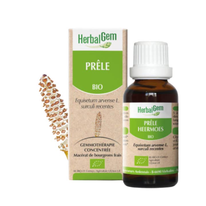 Ecohesens - Wholesale Oral Supplement/Vitamin - ORGANIC horsetail - 30 ml - HerbalGem