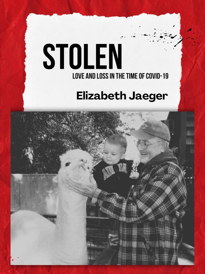 Stolen: Love And Loss In The Time of Covid-19 for wholesale by Unsolicited Press