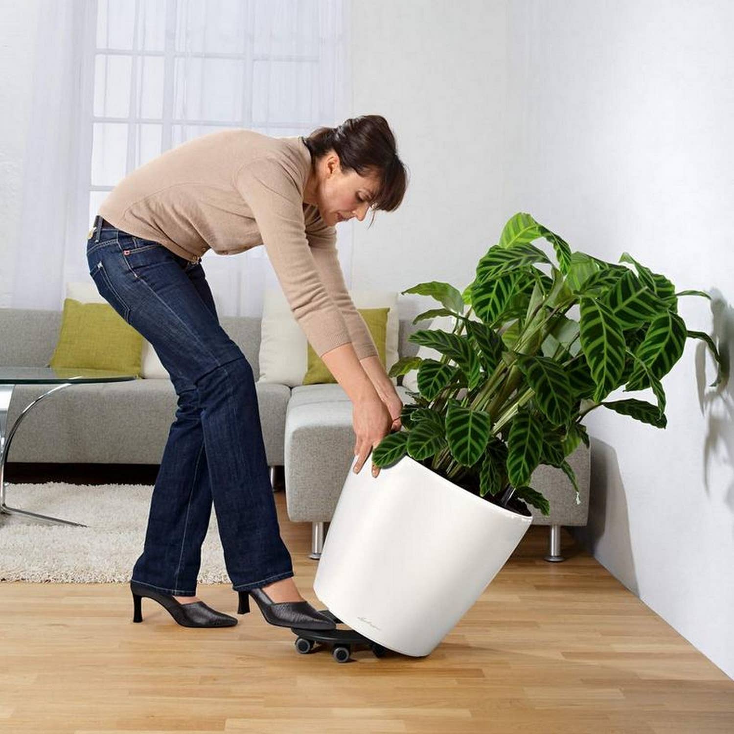 Lechuza Self Watering Planters - Vendita all'ingrosso Vasi per piante - LECHUZA CLASSICO LS Vaso rotondo in poliresina26