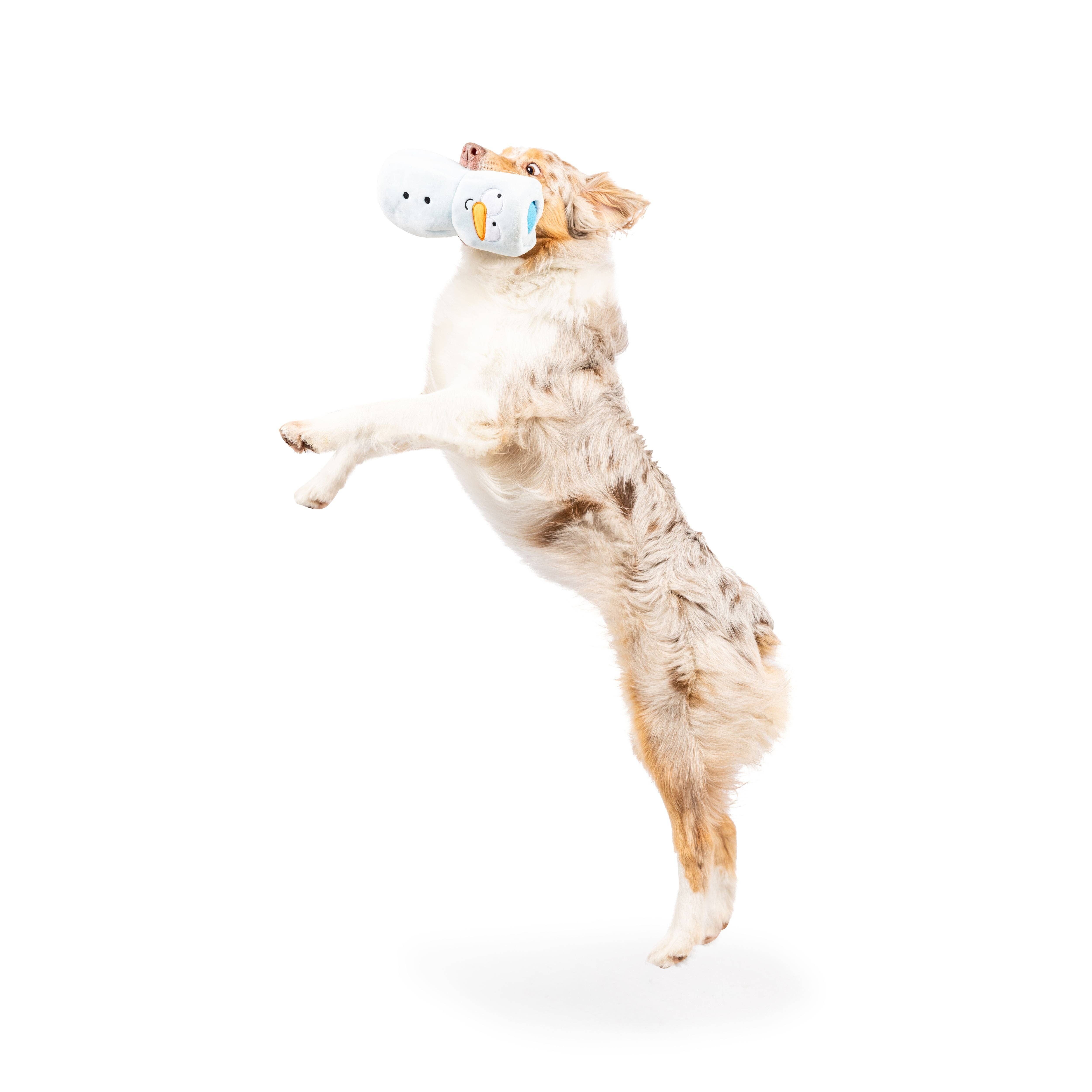 Huxley & Kent - Wholesale Pet Squeaky Toy - Dog - Squeak 'n Peek Frosty Snowman Dog Toy1