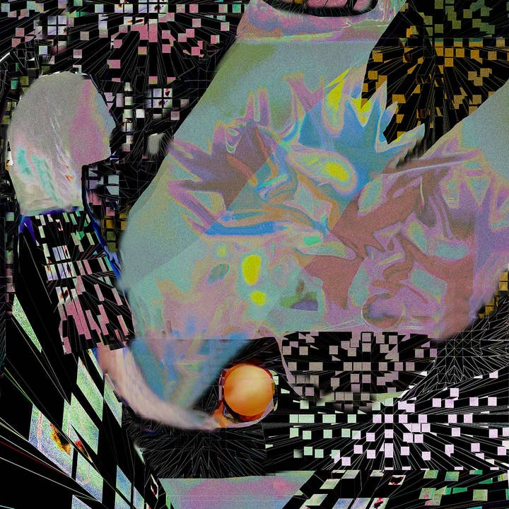 Bird of Paradise, No. 5 for wholesale by Art by Deeling