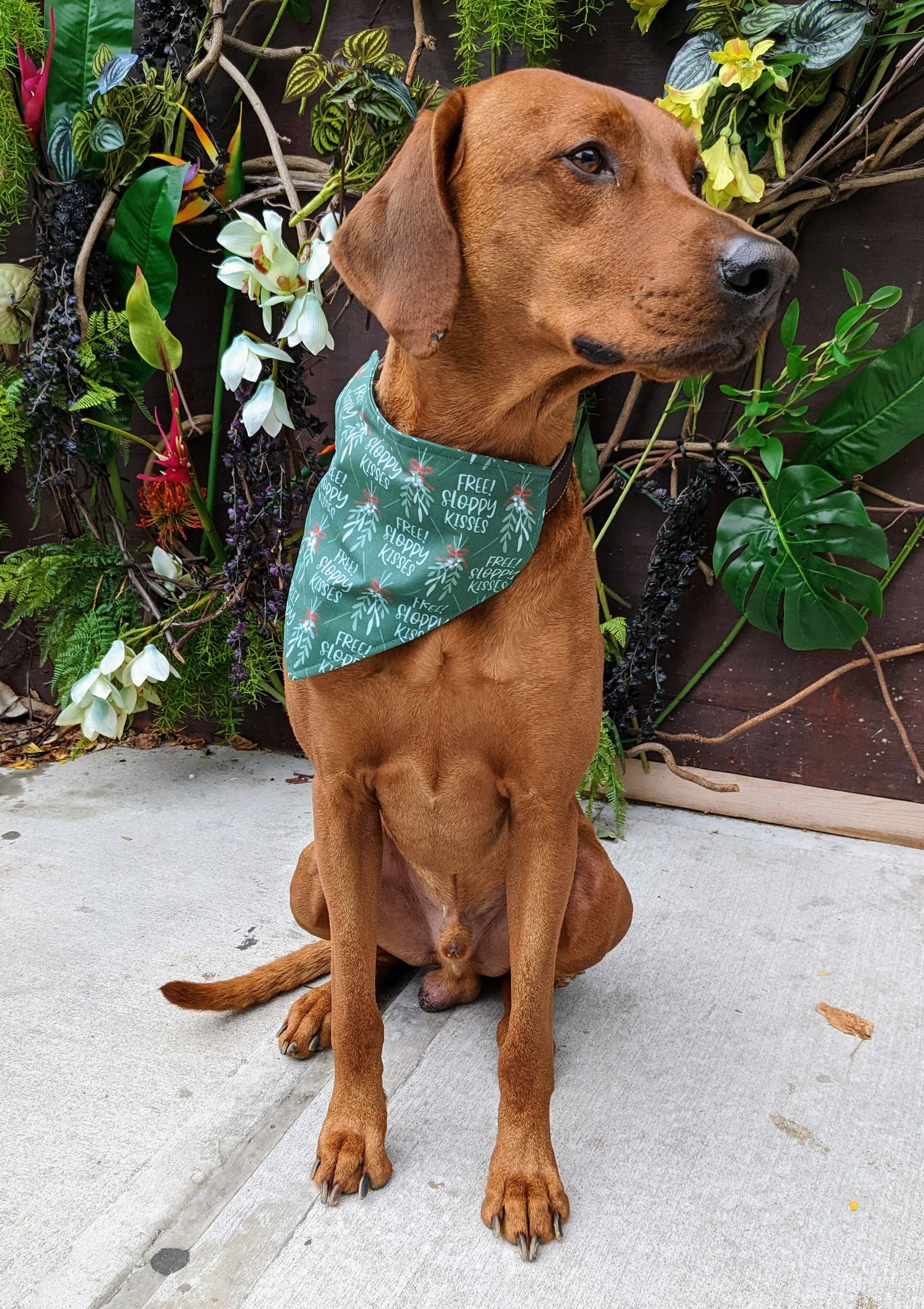 Koa's Ruff Life - Wholesale Pet Bandana - Dog - Mistletoe Dog Kisses Bandana1