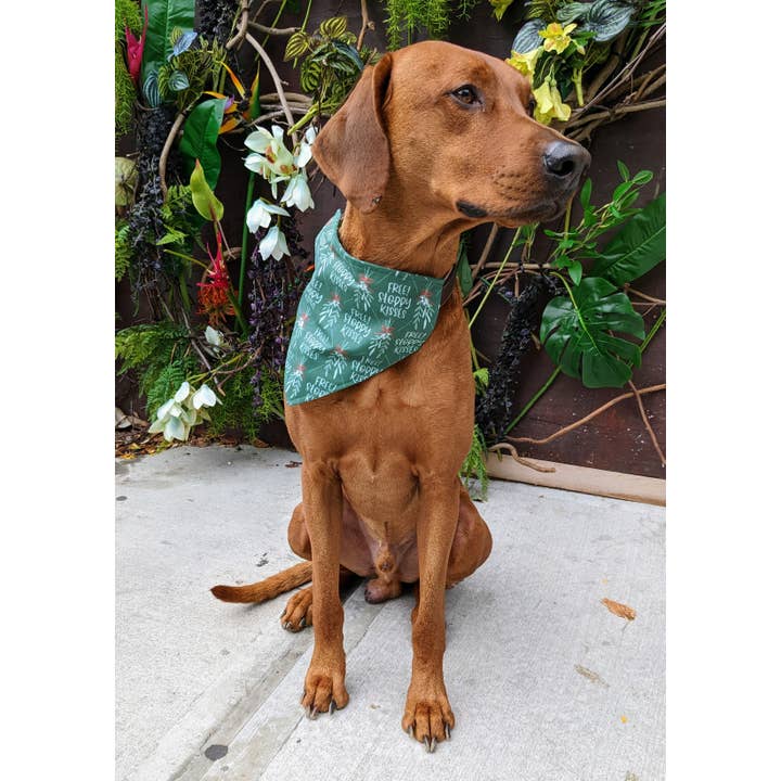 Koa's Ruff Life - Wholesale Pet Bandana - Dog - Mistletoe Dog Kisses Bandana1