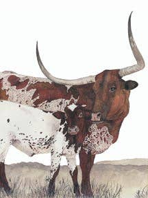 Tea Towel - Baby Jewel for wholesale by DOLLY ESTELLE