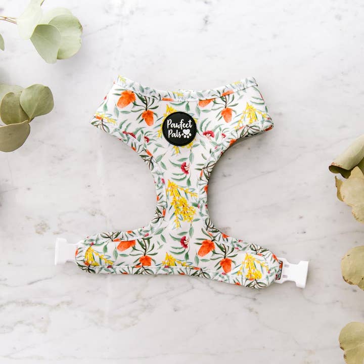Australian Beauties - Harnais réversible pour chien pour la vente par Pawfect Pals