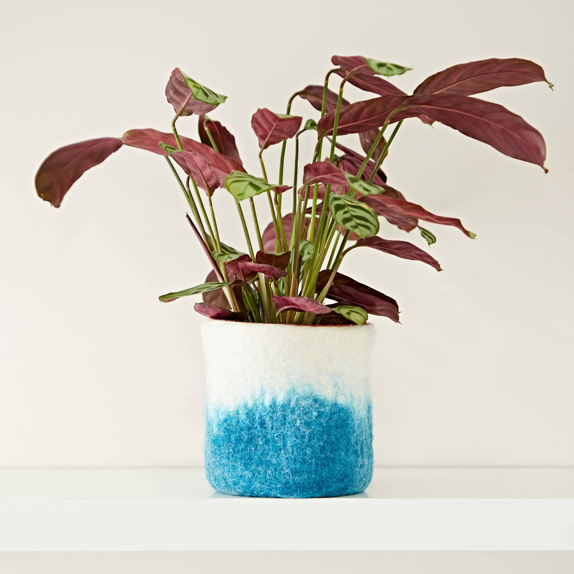 The Paper High Gift Company Limited - Wholesale Plant Pot - Handmade Felt Turquoise Ombre Plant Pot Cover