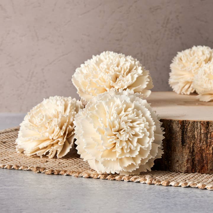 Carnation Flower (sola wood) - Set of 12 - 3 Inches for wholesale by Oh You're Lovely