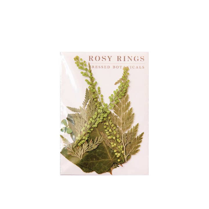 Rosy Rings - Wholesale Dried/Pressed Flowers - Spring Meadow Mix Small Pressed Floral Packet