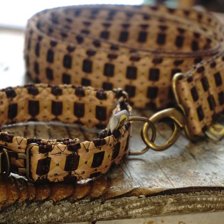 hundsfutter - Vendita all'ingrosso Collare - Cani e gatti - Collare con guinzaglio Fran1