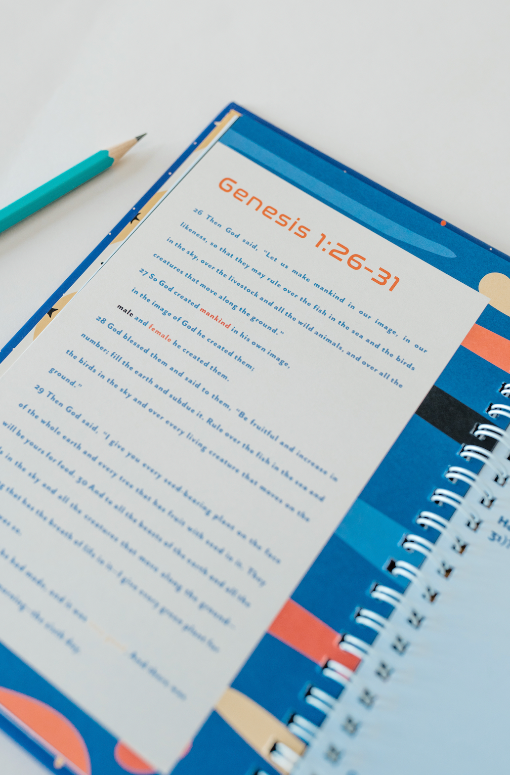 Tiny Theologians – Großhandel Tagebuch – Kinder – Jungen, die Gott suchen: Geführtes Tagebuch5