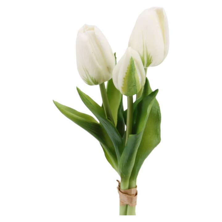 Ramo de tulipanes x 3, 'soft touch' 25 cm blanco-verde para venta al por mayor de Floratexx