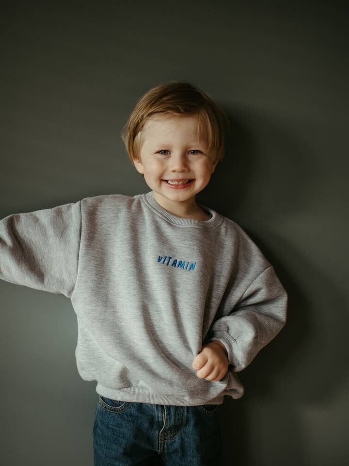 Soft Chunky Sweatshirt in Grey Colour for wholesale by millawkids