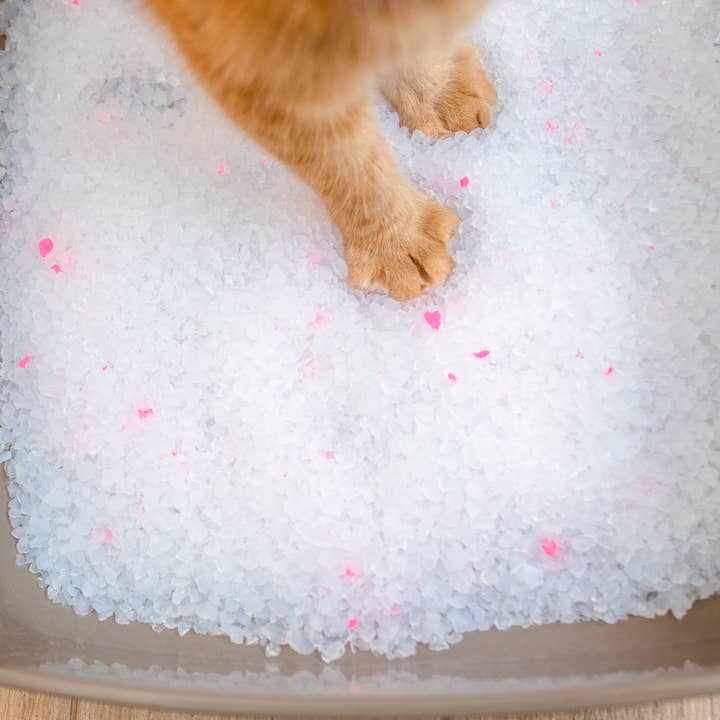 Calitti - Wholesale Cat Litter - Calitti CRYSTALS 8 lb Unscented Non-Clumping Cat Litter3