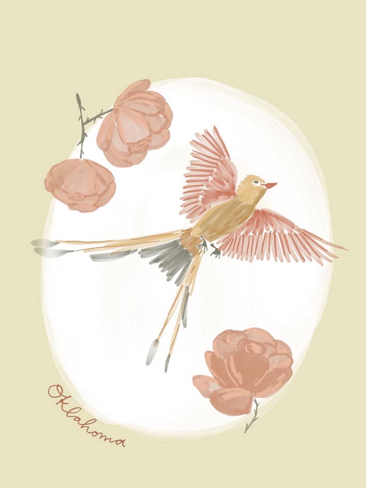 Oklahoma State Bird & Flower Print for wholesale by Daley Kaye Studio