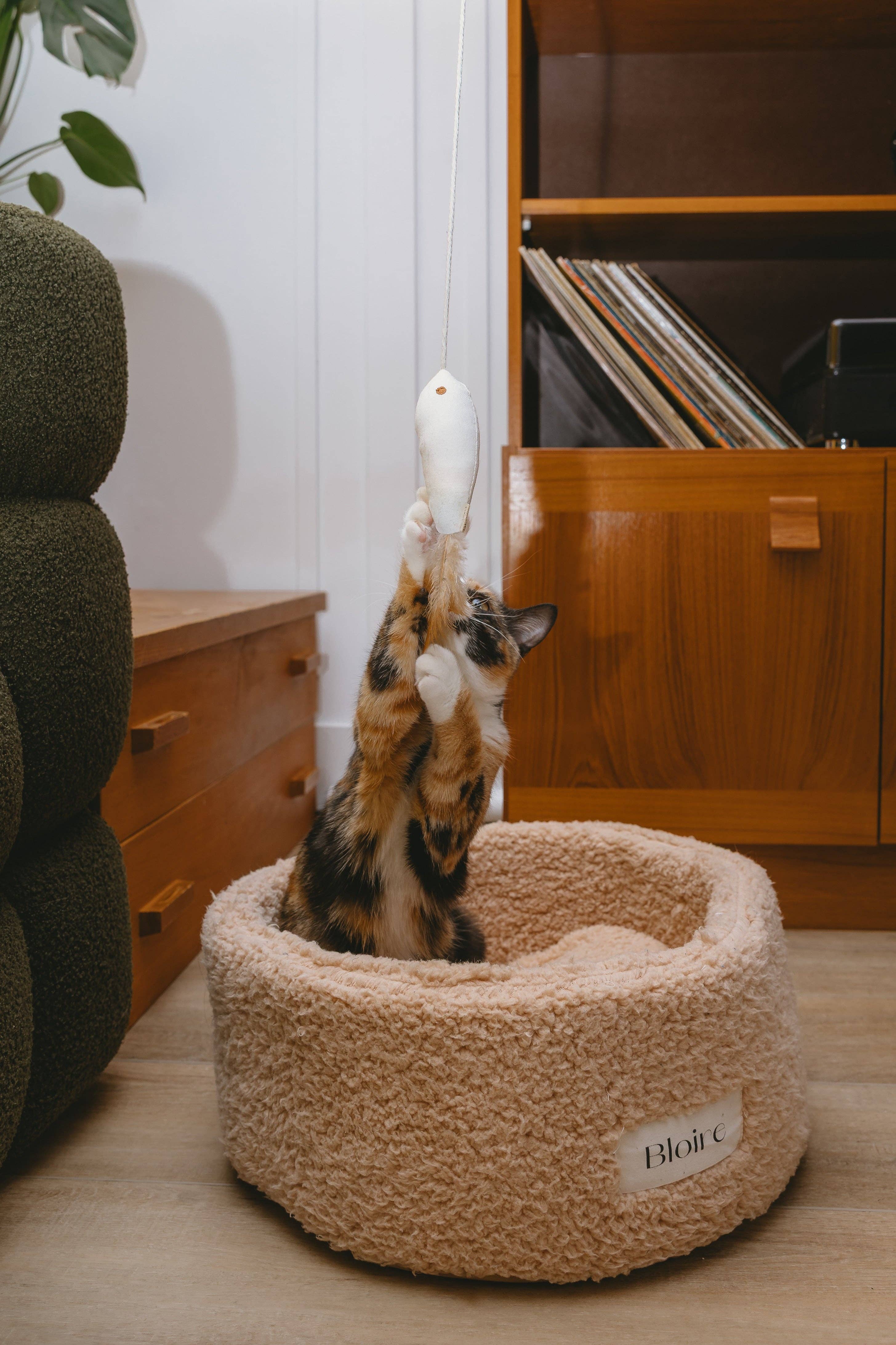 Ecocat - Wholesale Pet Toy - Cat - Cat Toy Golden Fish1