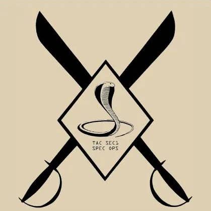 Books by splitShops - Wholesale Humor - The Professional Security Manual Class 1, Urban Security - Paperback